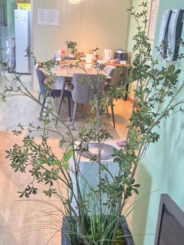 Facilities, The Naeum Stay Incheon Airport Guesthouse in Incheon