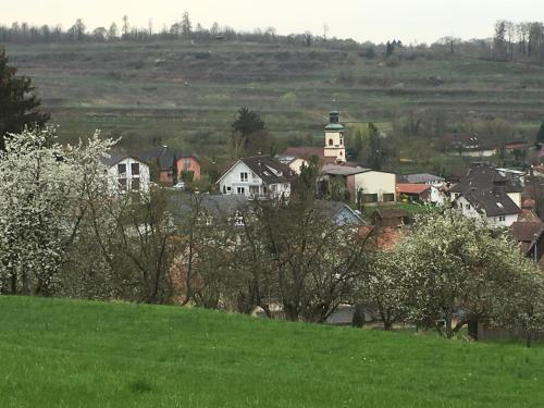 Holiday Apartment Bombach in Kenzingen