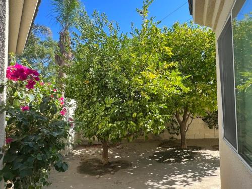 Newly Redecorated Private Desert Oasis in Shadow Ridge