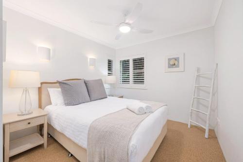 Solaris 2 - 22 Paterson Street - image 2