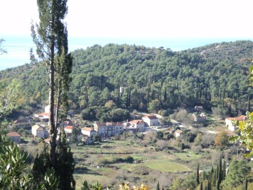 Country House Konavle in Popovići