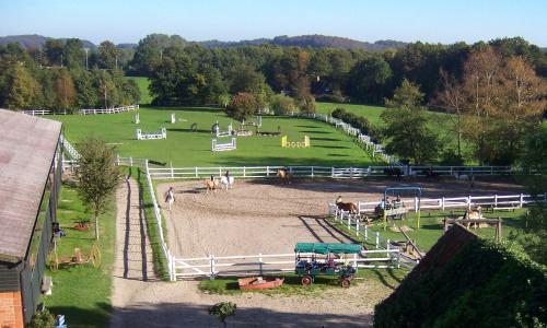 Ponyhof Naeve am Wittensee in Gross Wittensee