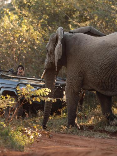 . Karongwe - Chisomo Safari Camp