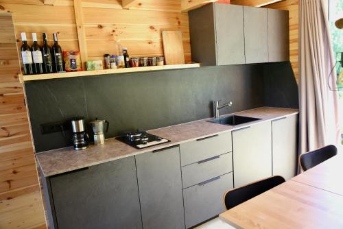 Mountain Chalet in Lumbardh