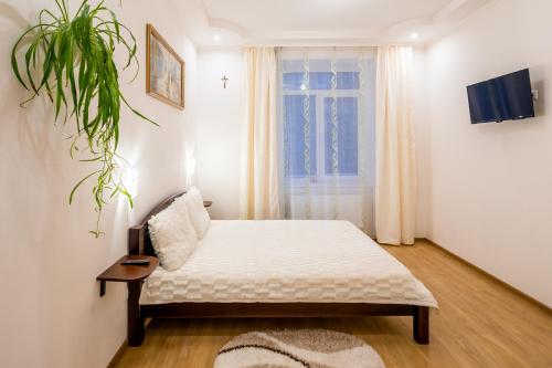 Apartment on Khmelnytskogo street
