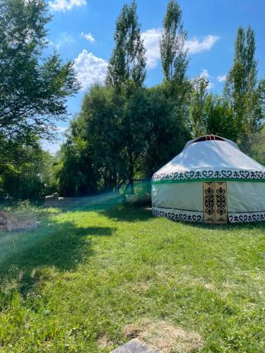 A környék, Musa Taalaibek in Baetov