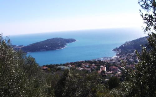 Les lilas blancs - Apartment - Villefranche-sur-Mer