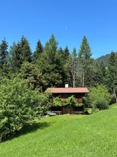 Weinrebenhütte Wildschönau
