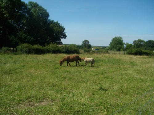 Gîte G3043 (Gite G3043) in Greges (Upper Normandy)