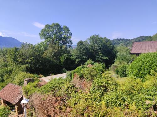 Les catalpas in Saint-Alban-de-Montbel