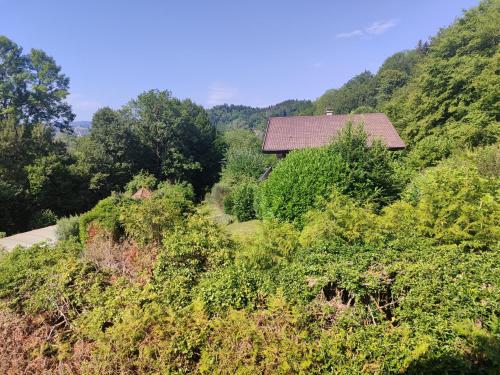 Les catalpas in Saint-Alban-de-Montbel
