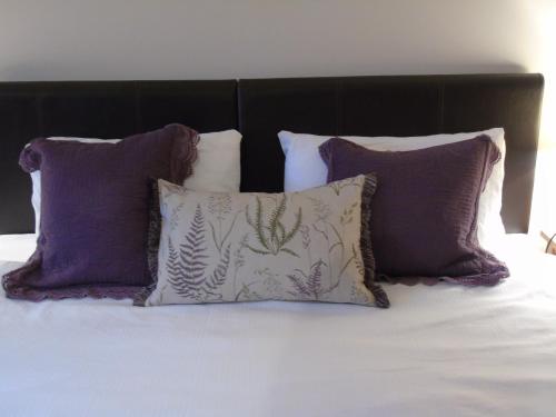 Pwllgwilym B & B - image 14