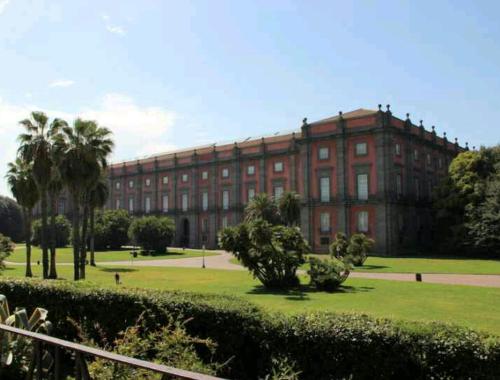 Playground, Linea1 b&b in Chiaiano