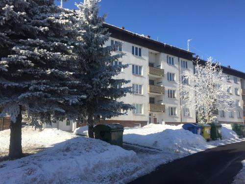 Apartmán Kovářská u Klínovce - image 11