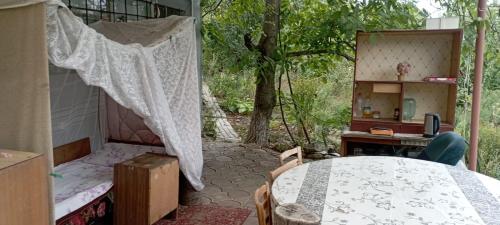 погружение в природу in Vatra