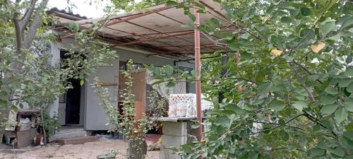 погружение в природу in Vatra