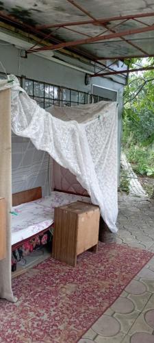 погружение в природу in Vatra