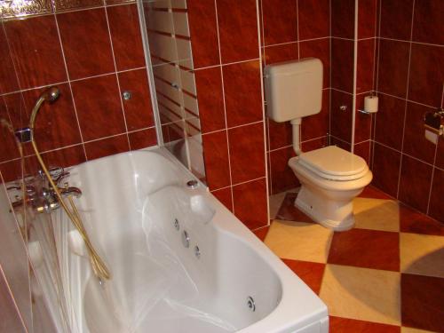 Hotel Vila Ariston - image 7