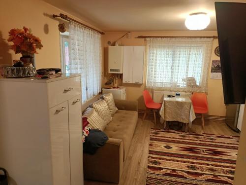 Casa cu gradina Untold-Electric Castle in Chinteni