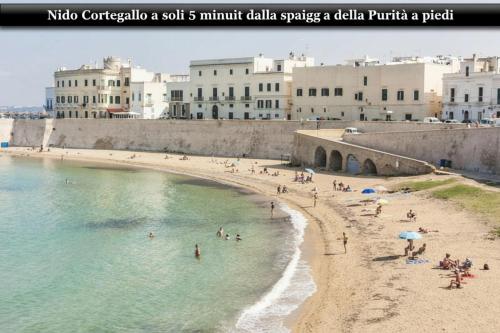 Nido Di Corte Gallo Gallipoli Centro Storico