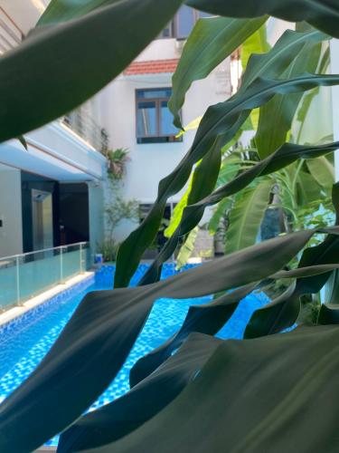 Center Tam Coc homestay in Ninh Bình