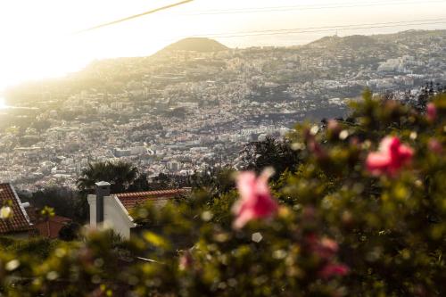  Hortensia Gardens in Funchal