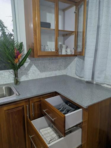 Kitchen, New Beginnings in Coulibistrie