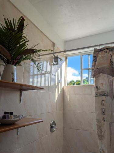 Bathroom, New Beginnings in Coulibistrie