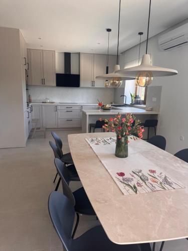 NEW Villa Renata in Gornji Vinjani
