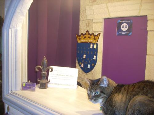 Hotel du Château - image 2