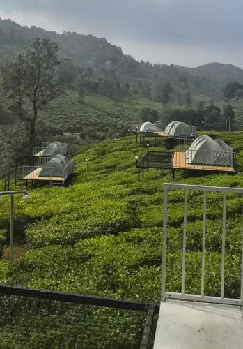 Skydeck - Boche 1000 Acre in เมปปาที
