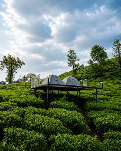Skydeck - Boche 1000 Acre in เมปปาที