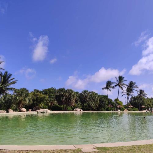 Caribbean Suites Morrocoy Private island Wi-Fi in 투카카스