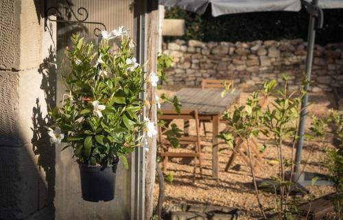 Gîte - Maison de vacances jusqu'à 6 personnes (Gite - Maison de vacances jusqu'a 6 personnes) in Chauvigny (Poitou-Charentes)