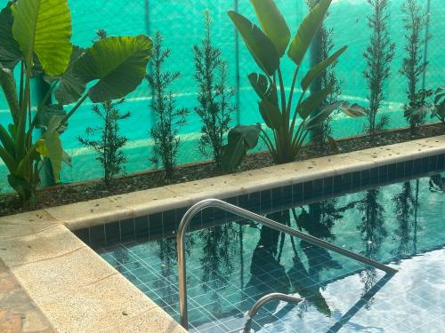 Aparthotel Helena Suites in Villarrica