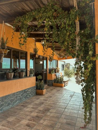 Las Cabañas Mavoro (Las Cabanas Mavoro) in Jocotitlán