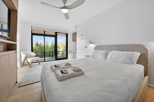 Spacious North Bondi Apt w Balcony near beach in North Bondi