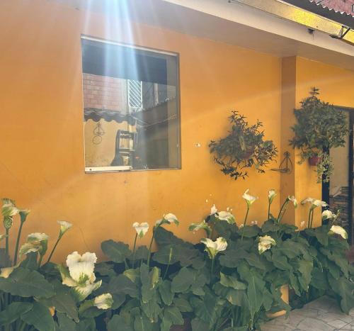 Sacred Valley Boutique Vegan Guesthouse