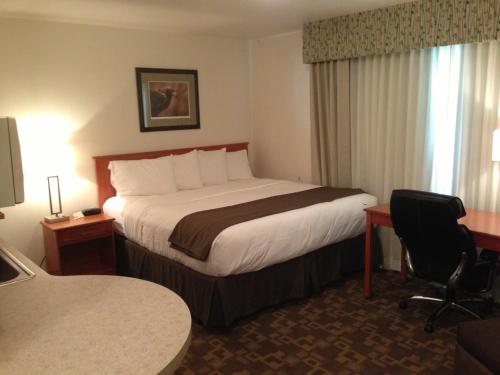 Alaska's Select Inn Wasilla - image 8