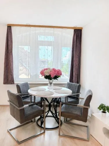 Ferienwohnung direkt am Rhein in Nierstein in Nierstein, Deutschland