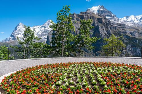 Vistas, Hotel Mürren Palace (Hotel Murren Palace) in Murren