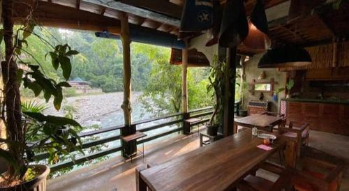 Sumatra Orangutan Tours Orangutan Trekking with Airport Pick Up Drop Off and Accommodation Trekking  in Bukit Lawang