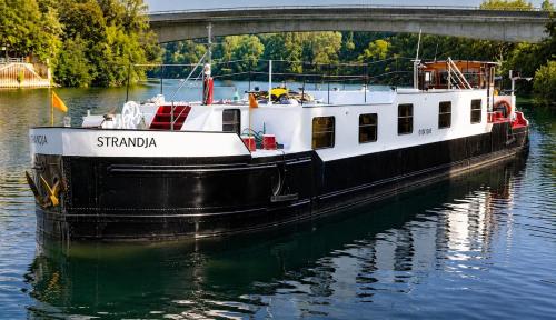Charming houseboat at Port Van Gogh Near Paris - Hôtel - Asnières-sur-Seine