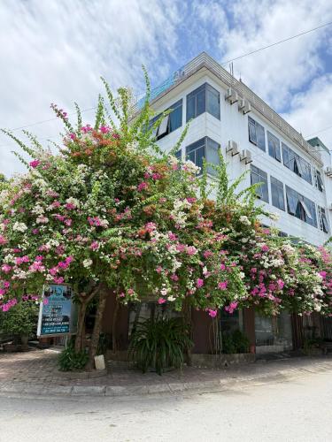 LD Housing 9 in Thanh Hóa