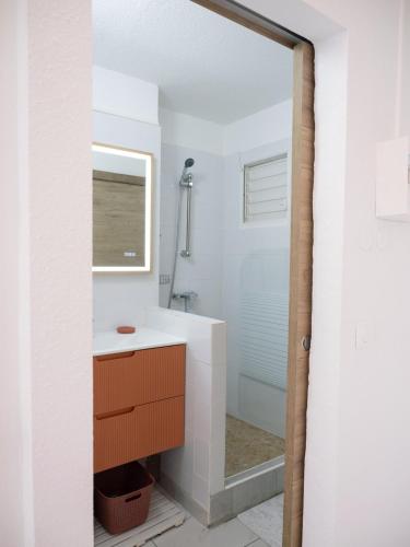 Studio TERRA in Le Moule