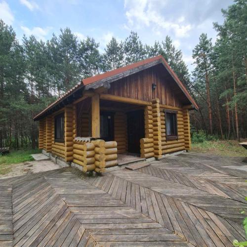 Viesnīcas āriene, Log House Savin in Schaslyve