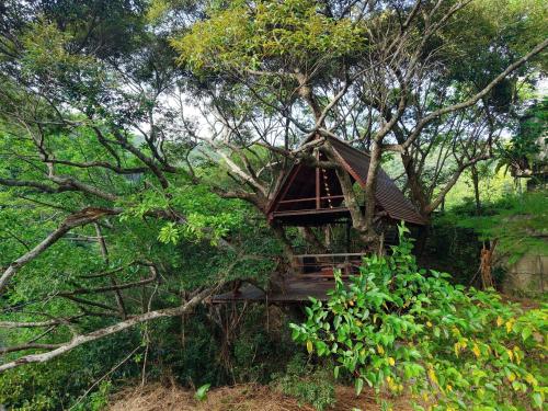 Yambaru Wild Treehouse Kidzy in Higashi