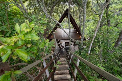 Yambaru Wild Treehouse Kidzy in Higashi