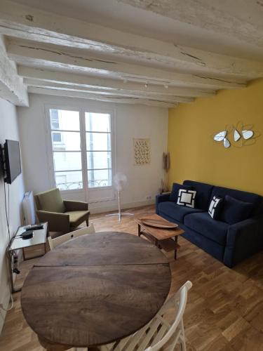 Magnifique appartement vieux Tours