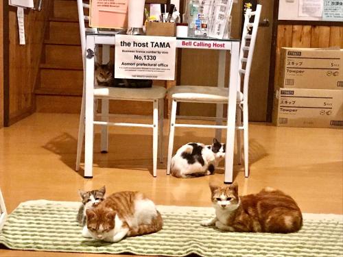 Misato Memorial Hall - Vacation STAY 61405v in Hirakawa